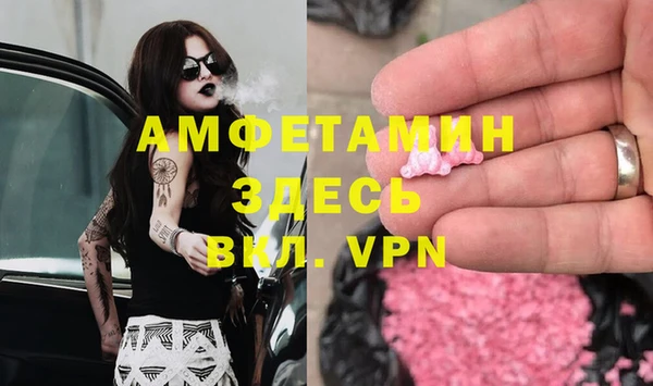 дживик Абаза