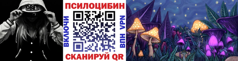 хочу наркоту  Яблоновский  Галлюциногенные грибы Psilocybine cubensis 